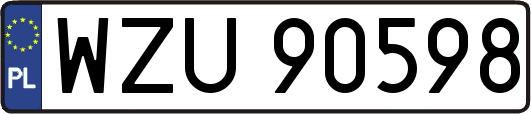 WZU90598
