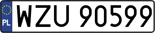 WZU90599