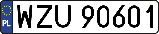 WZU90601
