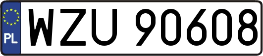 WZU90608
