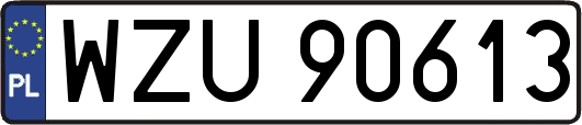 WZU90613