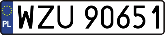 WZU90651