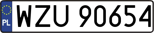 WZU90654