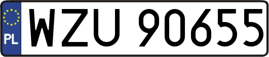 WZU90655