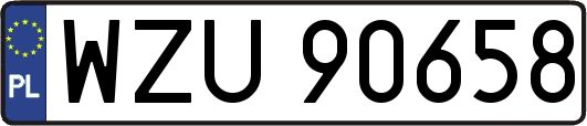WZU90658