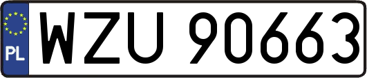 WZU90663