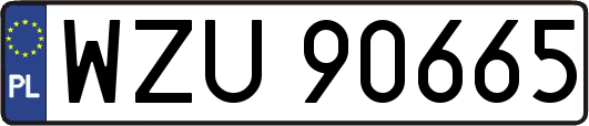 WZU90665