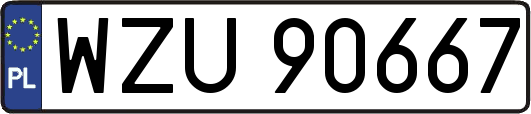 WZU90667