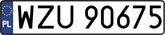 WZU90675