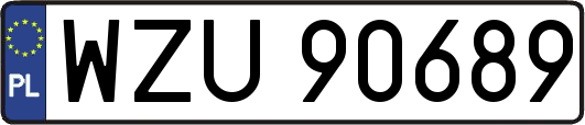 WZU90689