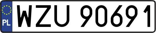 WZU90691