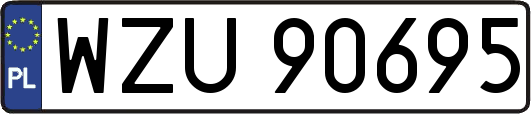 WZU90695