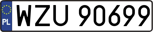 WZU90699