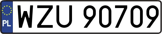 WZU90709
