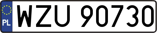 WZU90730