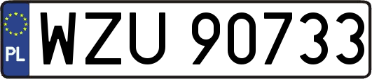 WZU90733