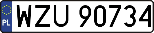 WZU90734