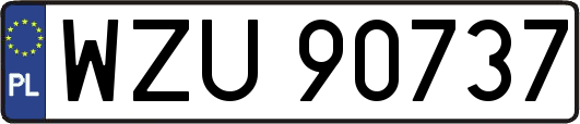 WZU90737