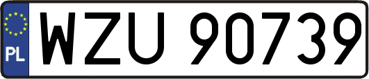 WZU90739
