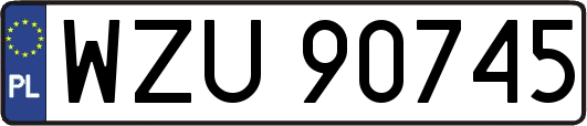WZU90745