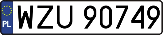 WZU90749