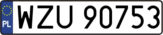 WZU90753