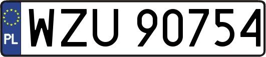 WZU90754