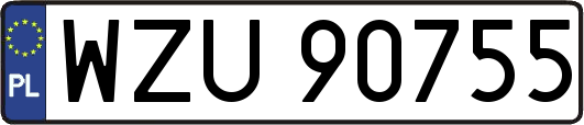 WZU90755