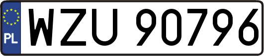 WZU90796