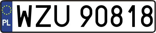WZU90818