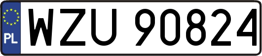 WZU90824