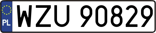 WZU90829
