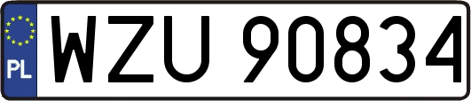 WZU90834
