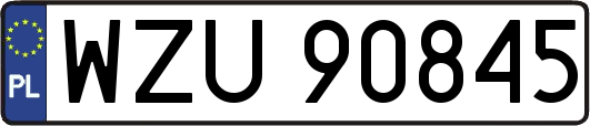 WZU90845