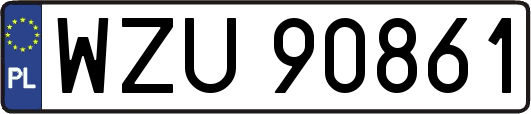 WZU90861