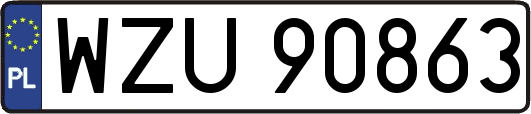 WZU90863