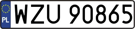 WZU90865