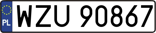 WZU90867