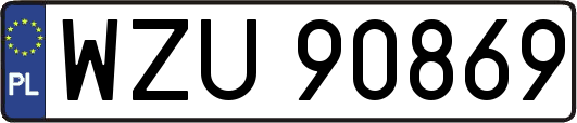 WZU90869