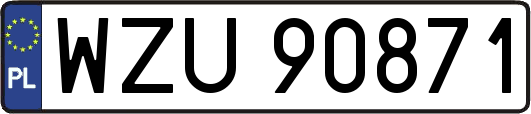 WZU90871