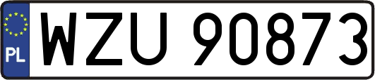 WZU90873