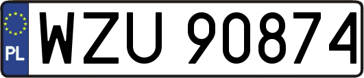 WZU90874