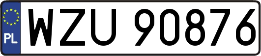 WZU90876