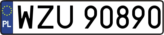 WZU90890