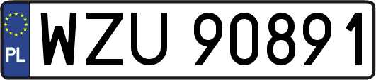 WZU90891