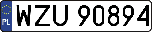 WZU90894