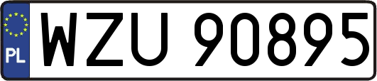 WZU90895