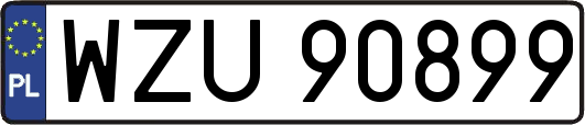 WZU90899