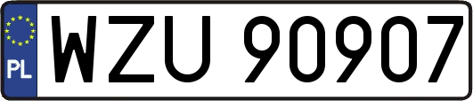 WZU90907