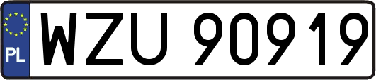 WZU90919